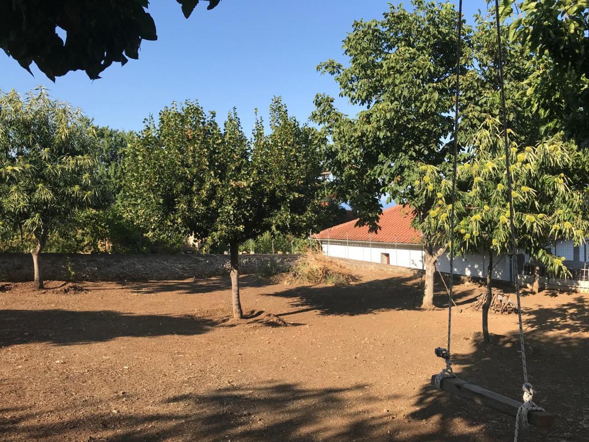 Olympus Beach Aigani Family House Exterior foto